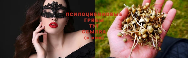 мяу мяу кристалл Новодвинск