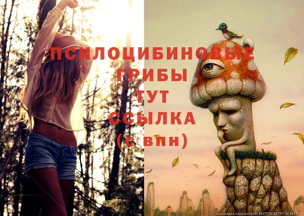 мяу мяу кристалл Новодвинск