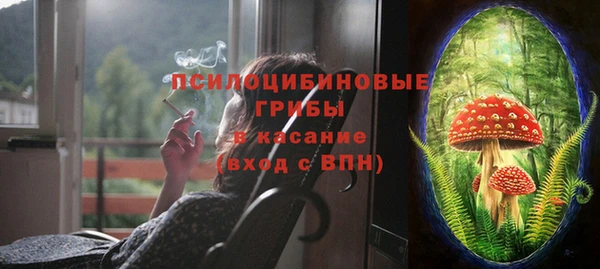 герыч Новозыбков