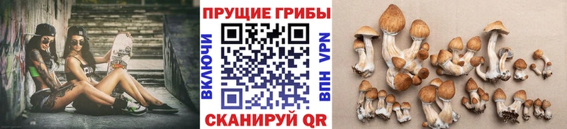 маркетплейс наркотические препараты  Калачинск  Галлюциногенные грибы мухоморы 